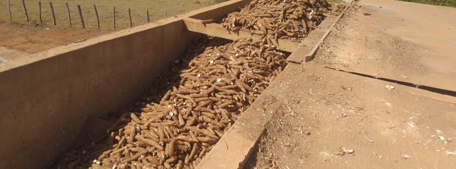 VisitaPolvilheirosSuldeMinas2_DivulgaçãoSemad