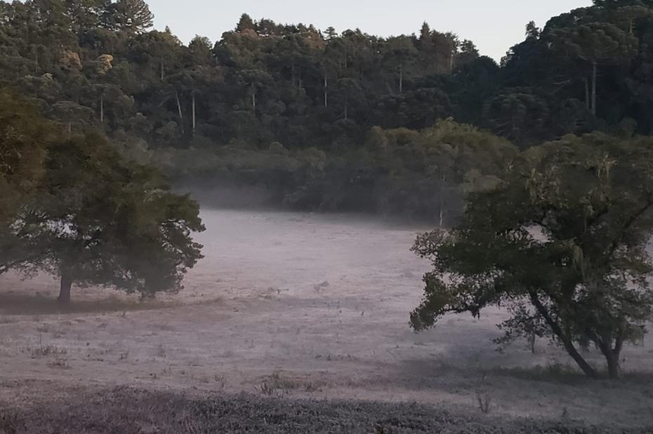 WhatsApp Image 2020-08-04 at 07.39.30