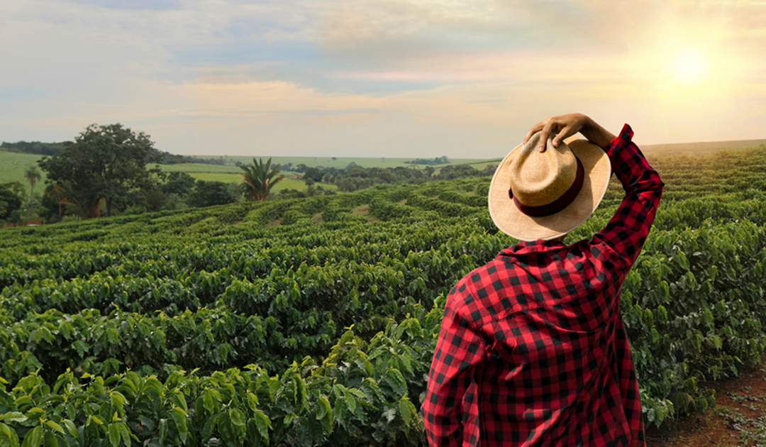 boas-praticas-na-colheita-contribuem-para-a-qualidade-do-cafe-1080x630 boas-praticas-na-colheita-contribuem-para-a-qualidade-do-cafe-1080x630