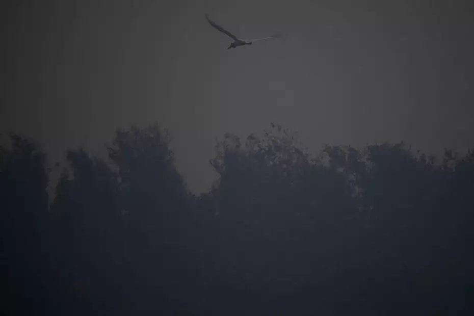 00ce20b8-2e93-427f-b117-bbe2577425a6 00ce20b8-2e93-427f-b117-bbe2577425a6