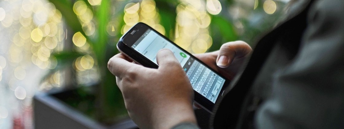 03115250383648 03115250383648