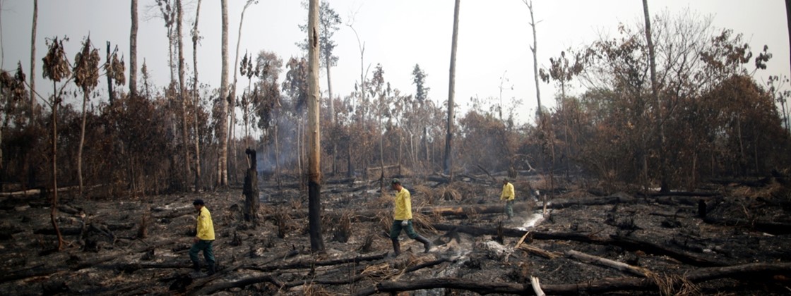 28140750588130 28140750588130