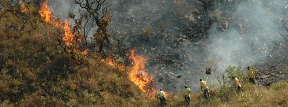 Combate_a_incêndio_floresta_em_Minas_-_Foto_Evandro_Rodney Combate_a_incêndio_floresta_em_Minas_-_Foto_Evandro_Rodney