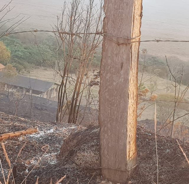 O fogo destruiu boa parte das propriedades atingidas