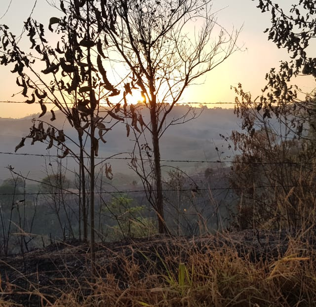 Com altas temperaturas incendios agravam a situação dos cafezais na região
