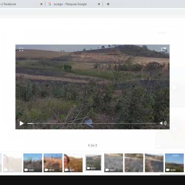 Estiagem prolongada e fogo deixam rastro de destruição nos cafezais