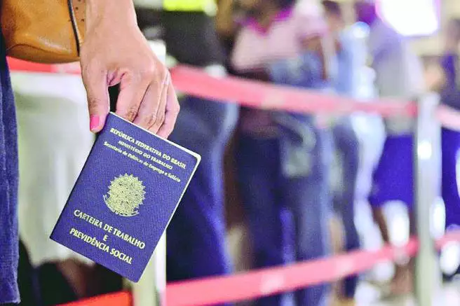carteiraTrabalho21342435