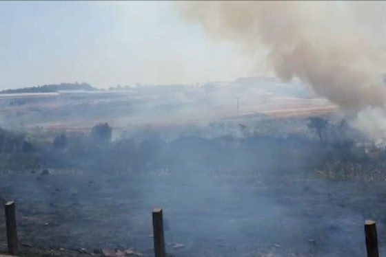 incendio-criminoso-atinge-mata-ciliar-do-rio-guaxupe-5f6255e5150a5 incendio-criminoso-atinge-mata-ciliar-do-rio-guaxupe-5f6255e5150a5