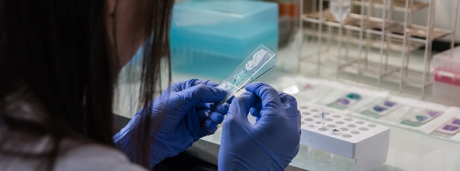 laboratory-2813958_1280