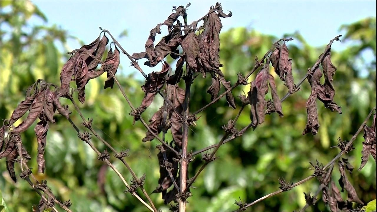 6403268_x720 6403268_x720