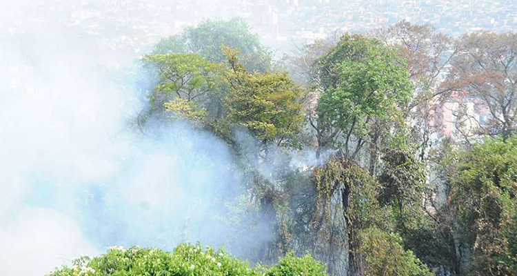 incendios-em-Minas incendios-em-Minas