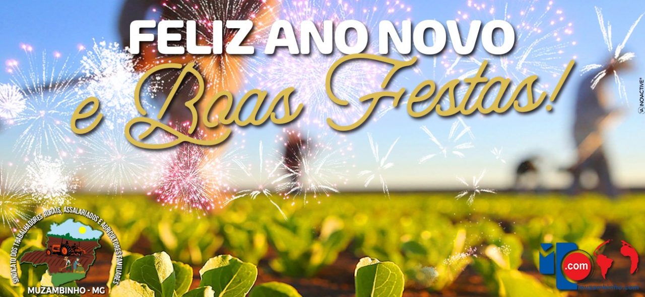 STRANovo2021 STRANovo2021