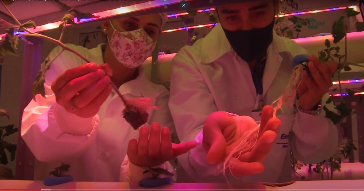 FazendasVerticais FazendasVerticais