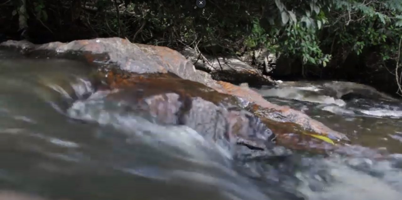 RioMuzambo RioMuzambo