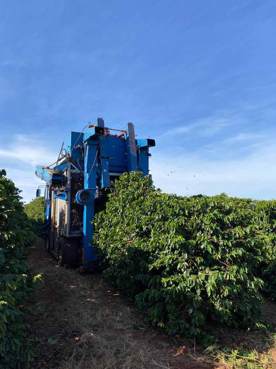 Sicredi inicia agendamentos para contratação de custeios agrícolas