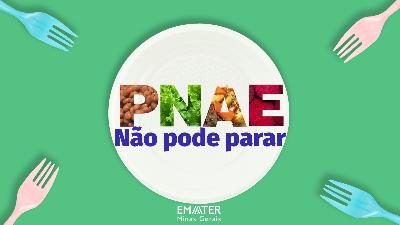 Pnae nao pode parar