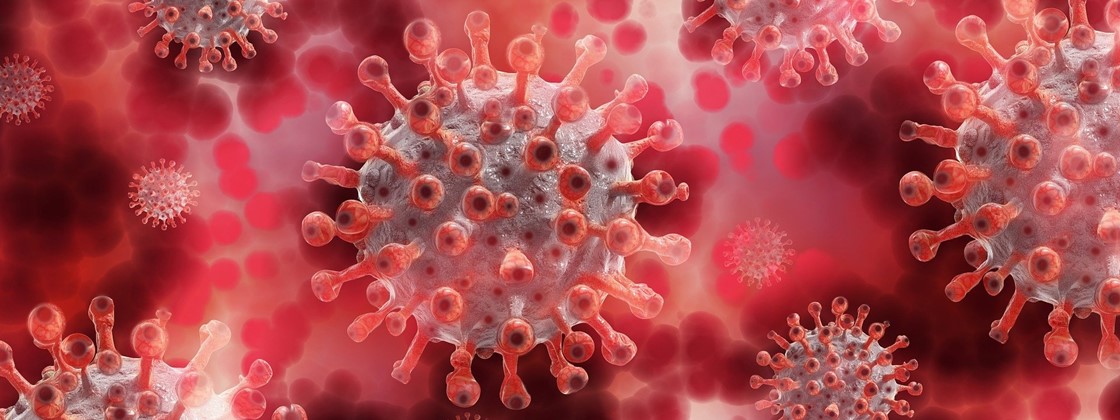 covid17111148340128 covid17111148340128