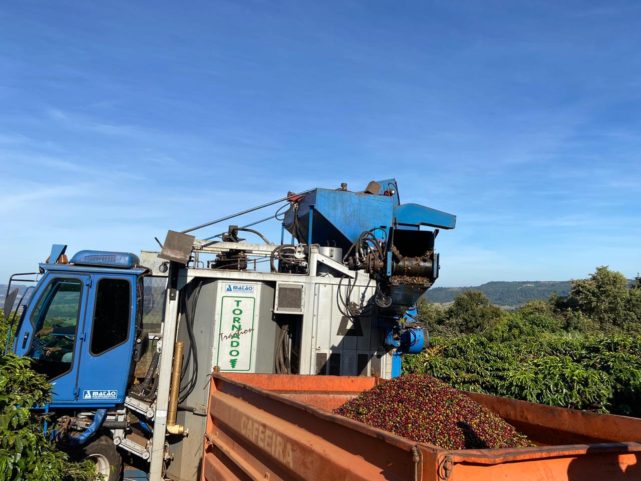 Sicredi está entre as instituições que mais liberaram recursos ao agronegócio Sicredi está entre as instituições que mais liberaram recursos ao agronegócio