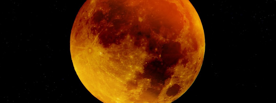 03160451142297 03160451142297