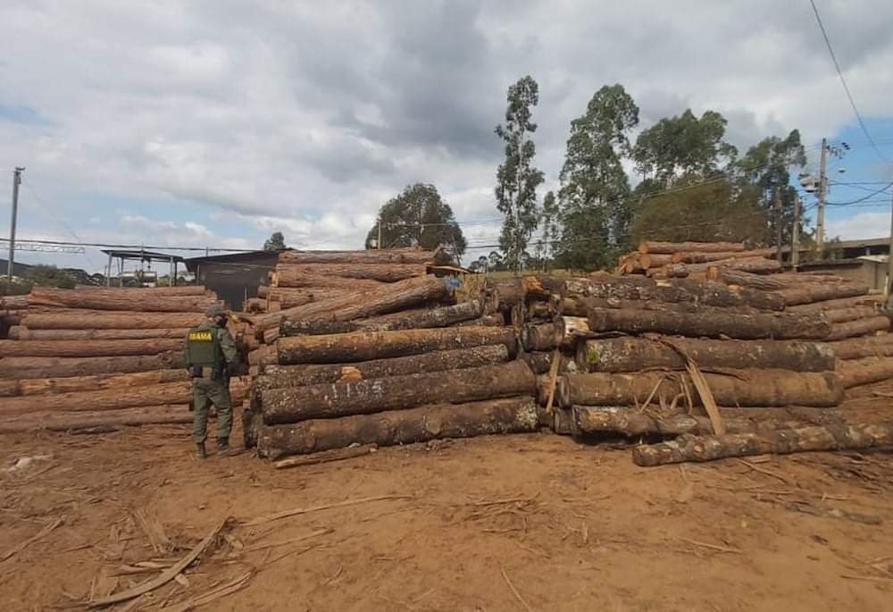 WhatsApp-Image-2021-05-14-at-13.28.50