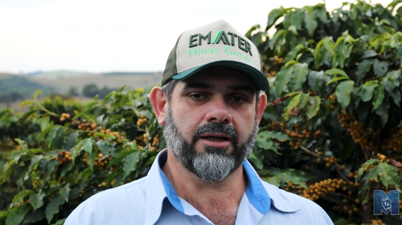 clovis80912347890143270