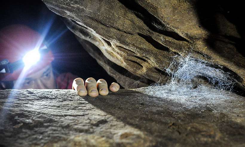 20210615073425958493i