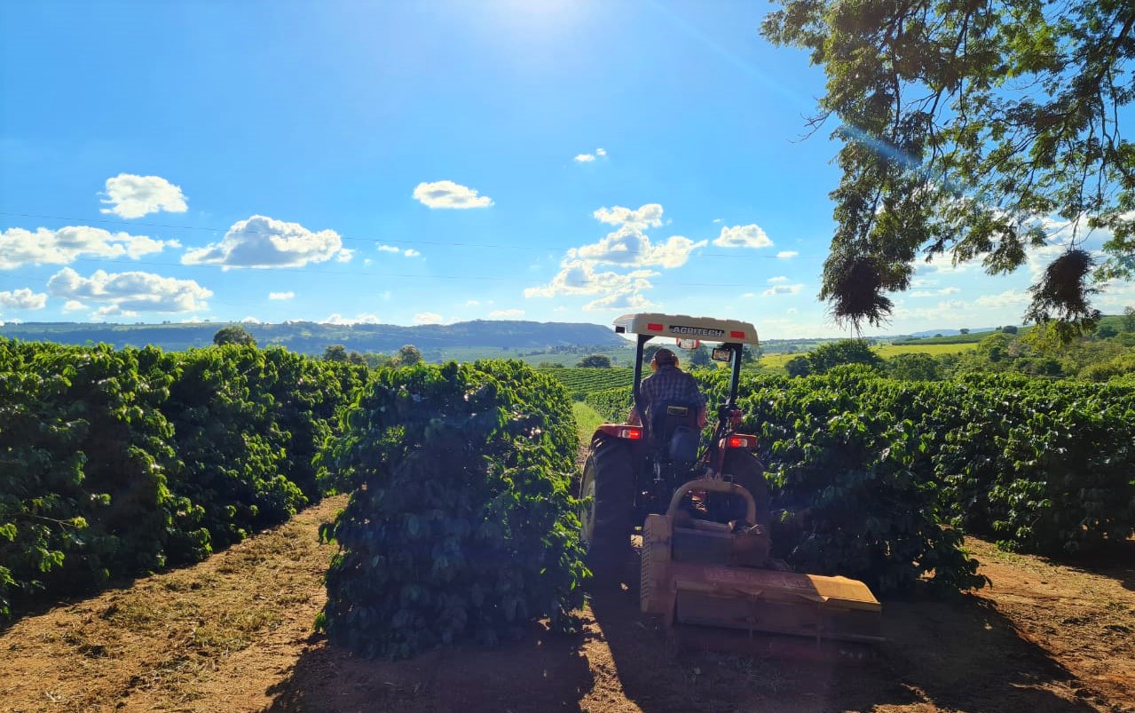 Sicredi antecipa etapas para liberação do recurso do custeio