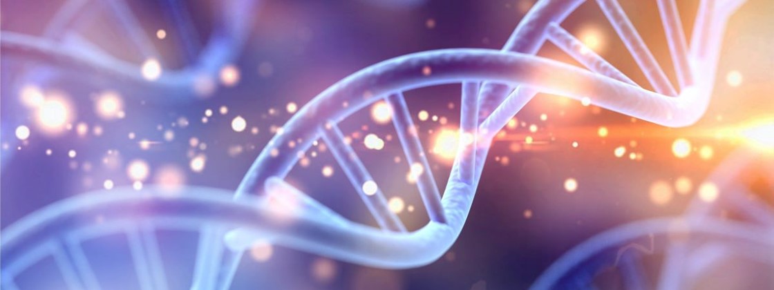 19114230961116 19114230961116