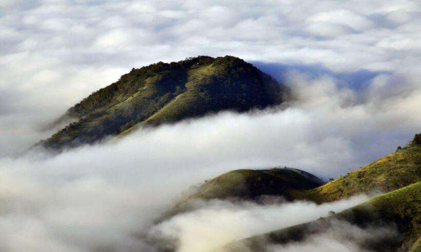 20210729094940598303o