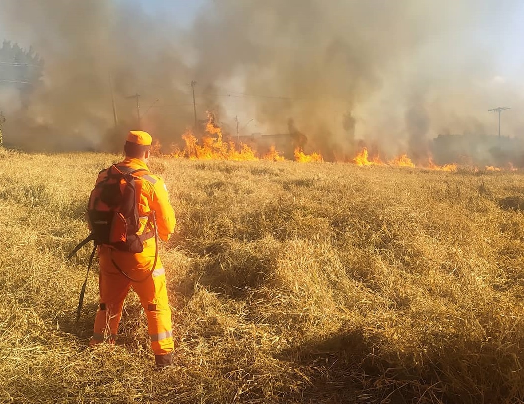 225399549_1210374829384158_519966872242781016_n-1