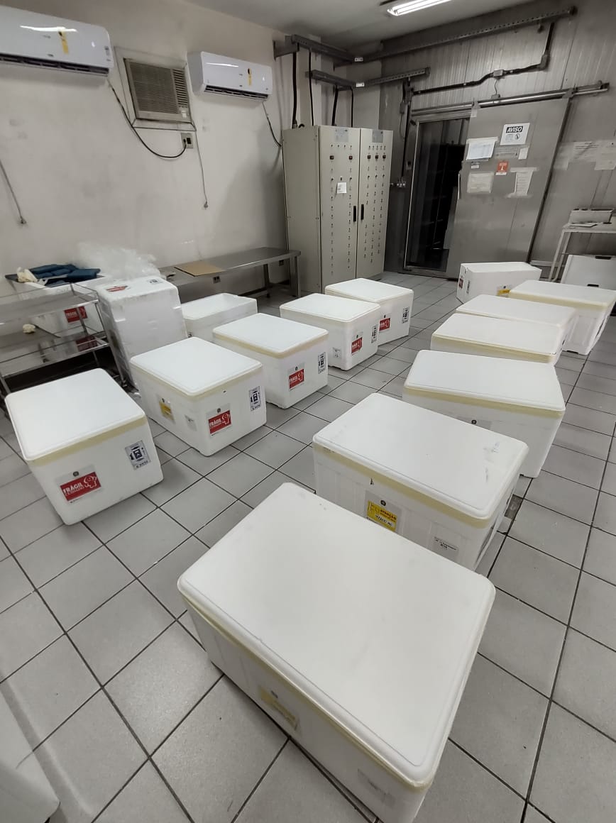 Fábio Marchetto (2)[83478]