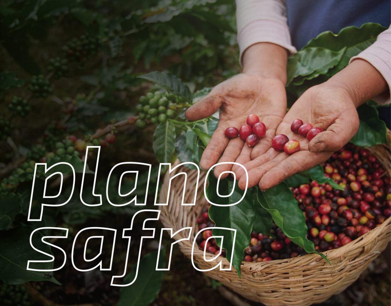 Plano Safra 2021_2022[83361]