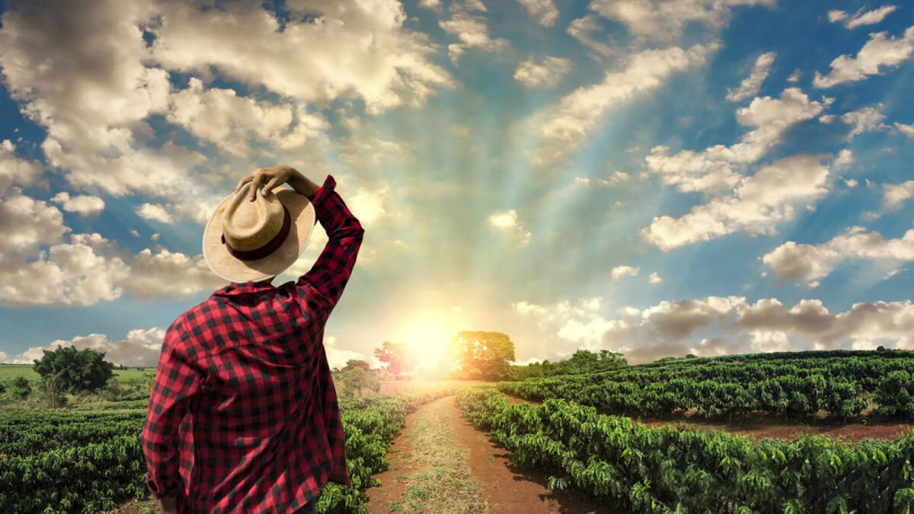 Produtor-rural-saiba-como-aumentar-sua-renda-1600x900-1 Produtor-rural-saiba-como-aumentar-sua-renda-1600x900-1