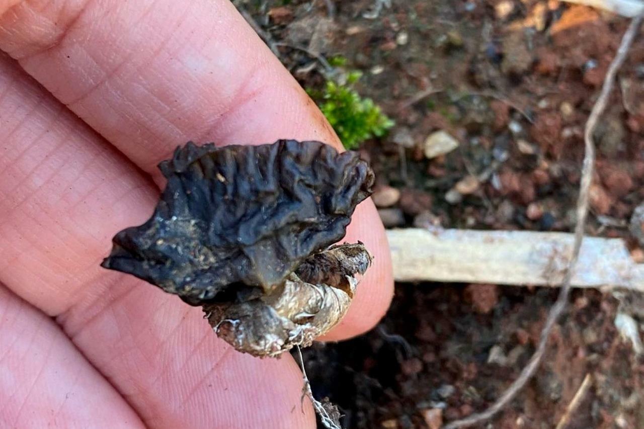 WhatsApp Image 2021-07-22 at 20.52.12