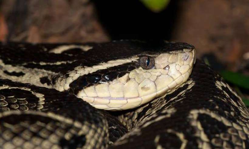 20210824233514482475u