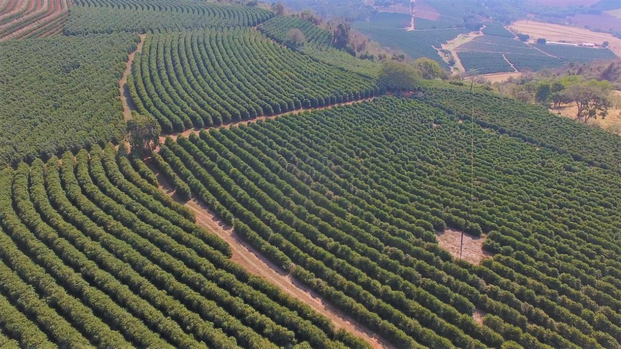 Recursos são destinados para produtores de café e também de outras culturas Recursos são destinados para produtores de café e também de outras culturas