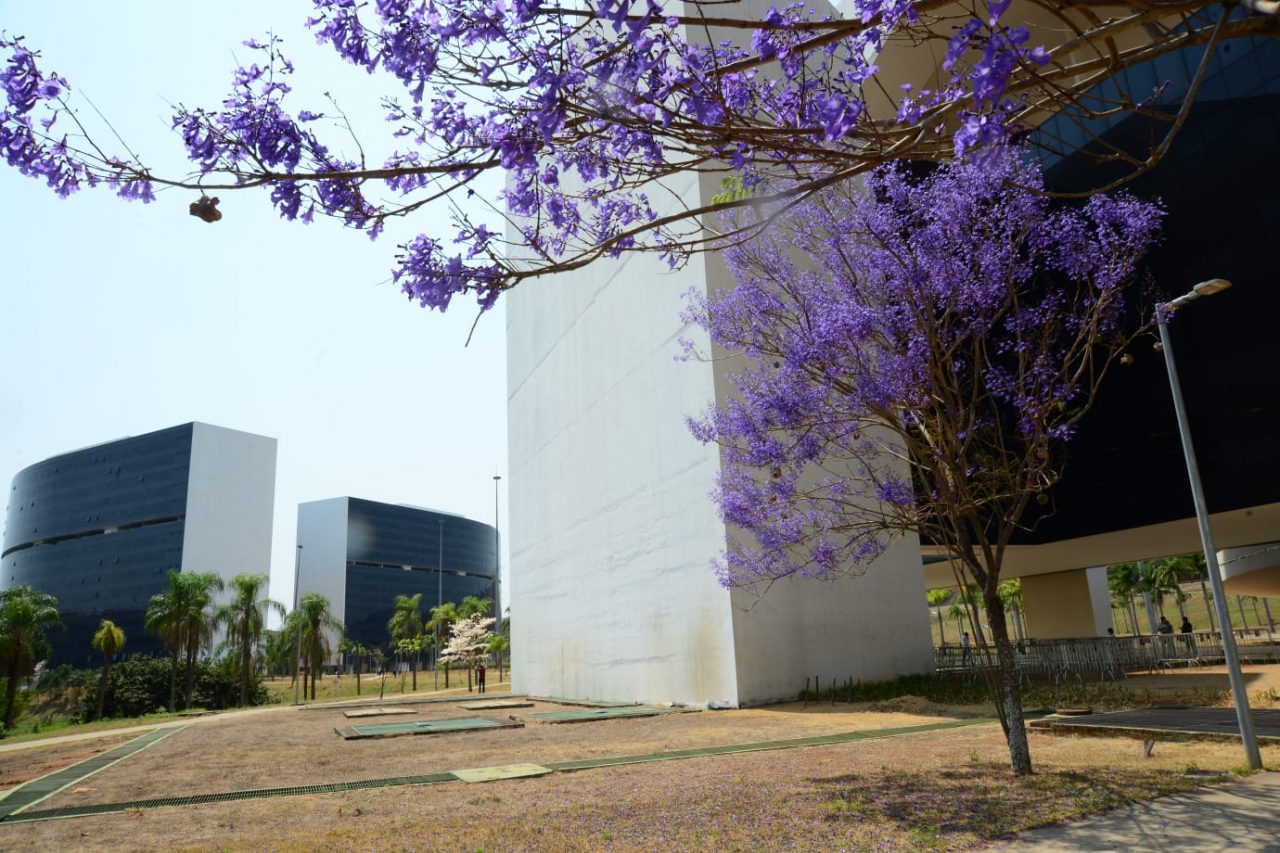 23-9-2021_-_Marco_Evangelista_-_Imprensa_MG_(10)