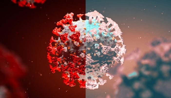 covid-resize-702-404