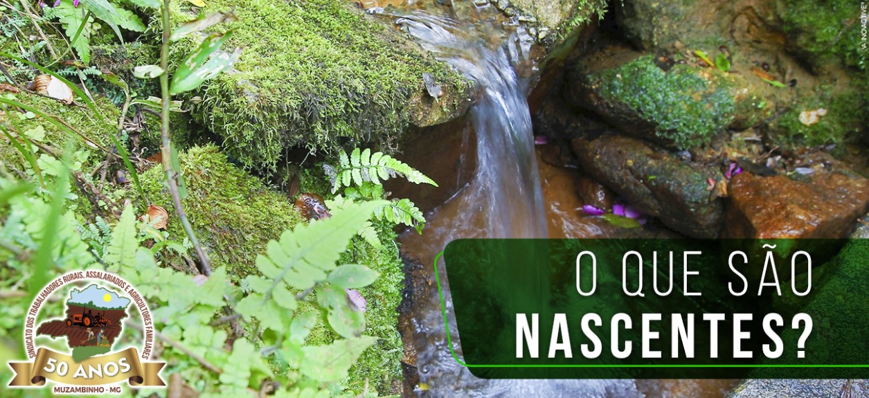 STRMuz271021 STRMuz271021