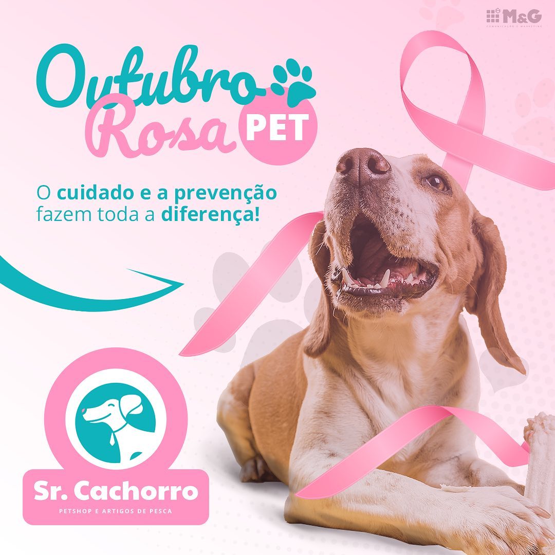 SrCaoOutRosa SrCaoOutRosa