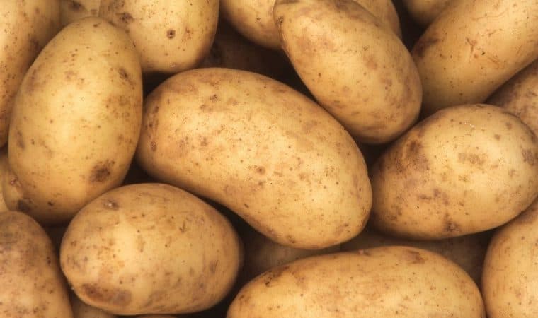 charlotte-potato-picture-id909550520-760x450 charlotte-potato-picture-id909550520-760x450