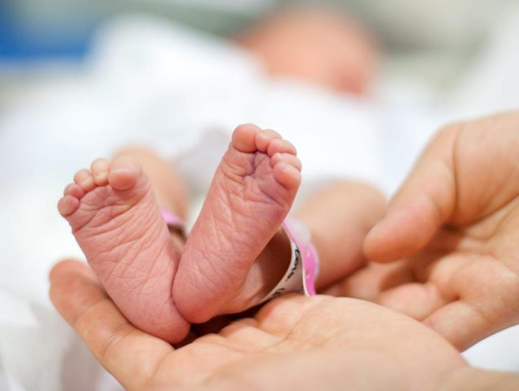 7X9pRmaternidade 7X9pRmaternidade