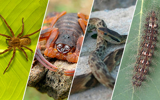 q08732974192374276519374y501932 q08732974192374276519374y501932