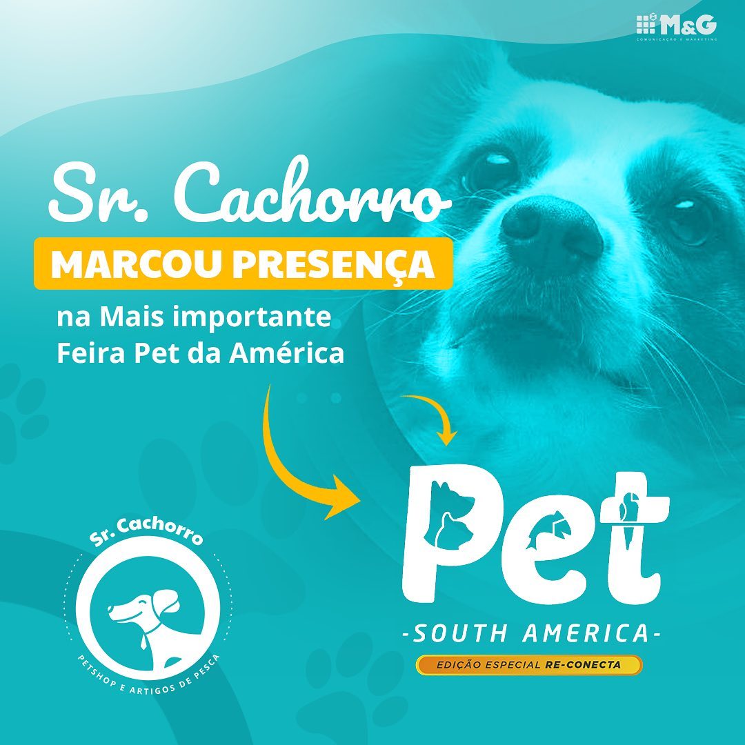 PetSouthFeira