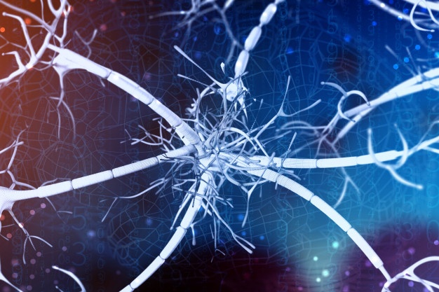 neuronio - reproducao free pik neuronio - reproducao free pik