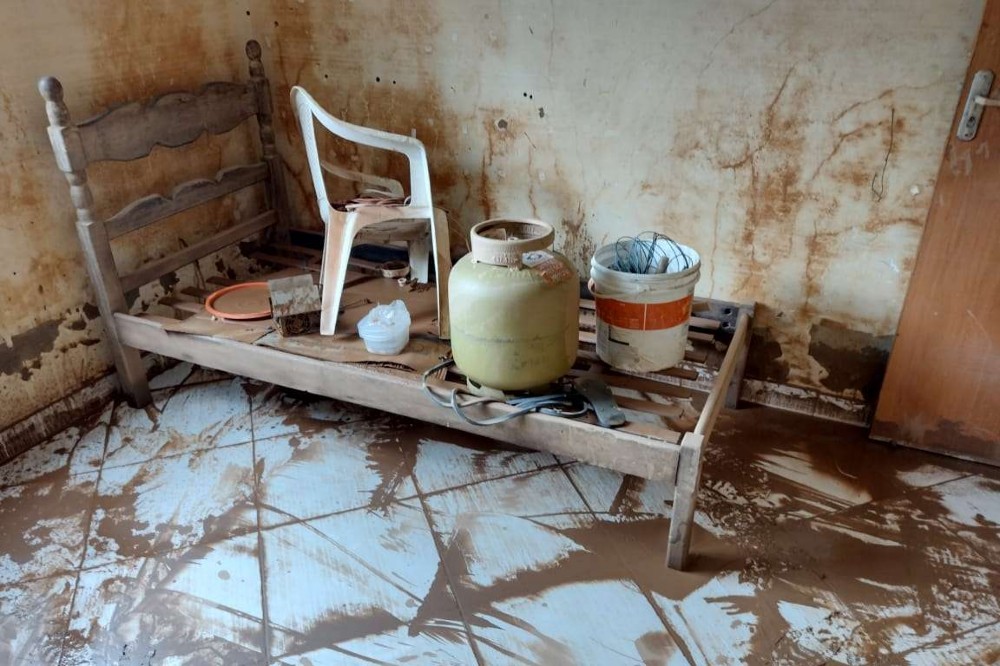 542436hdtyh566756734