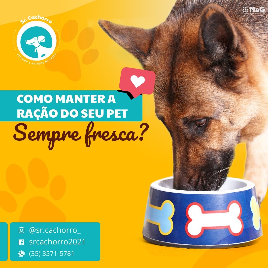 SrRacaopets SrRacaopets