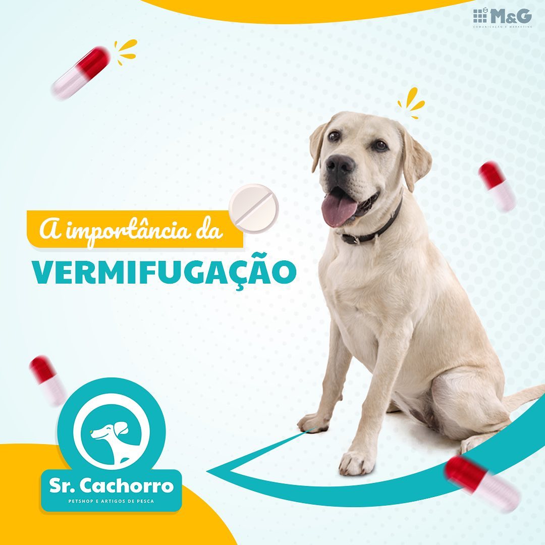 VermifugaçãoCao VermifugaçãoCao