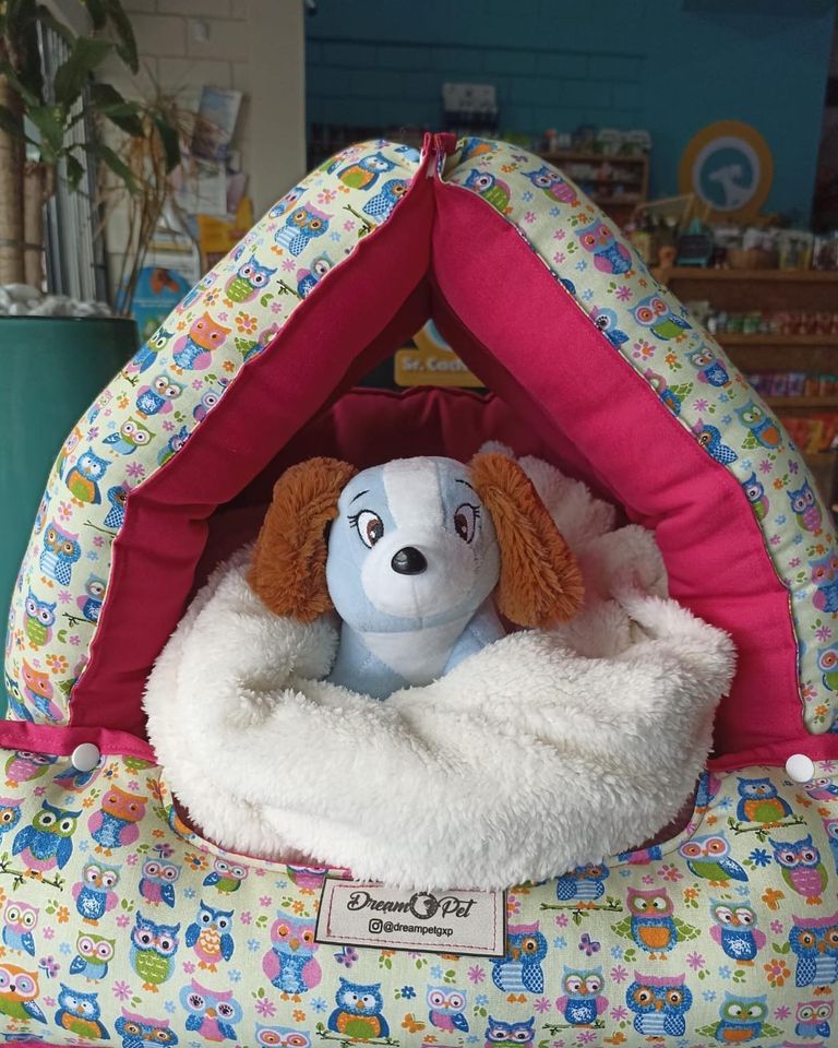 Sr.Cachorro72221 Sr.Cachorro72221