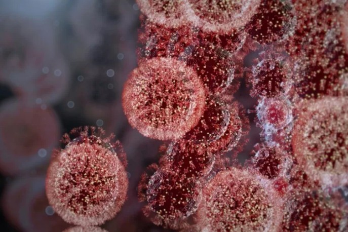 covid-corona-9745y49 covid-corona-9745y49